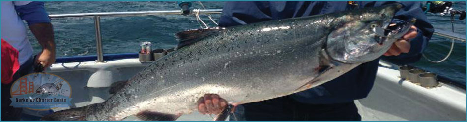 Salmon Fishing Charter San Francisco