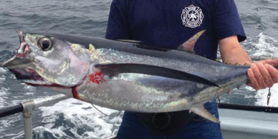 San Francisco Tuna Fishing Charter